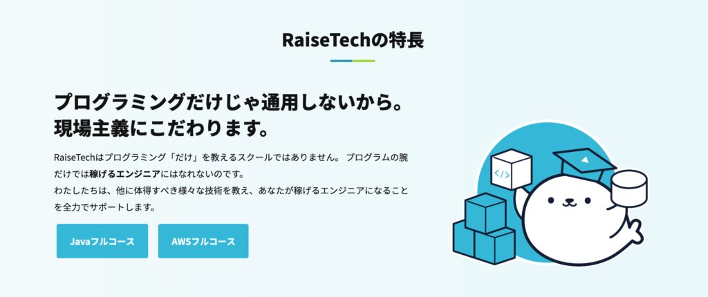 【評判】RaiseTechで最速で稼げるエンジニアへ！創業者に直接取材してみた | 沖ケイタのWebライター1年生